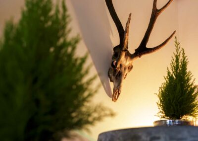 Geweih mit Schädel an der Wand, davor zwei grüne Pflanzen in Töpfen auf einem Tisch.